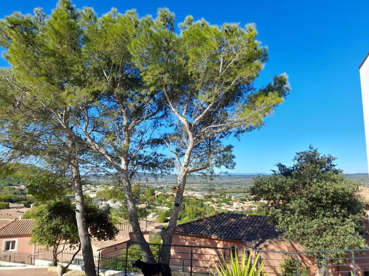 Studio Du Roc Des Garrigues Langlade Exterior foto